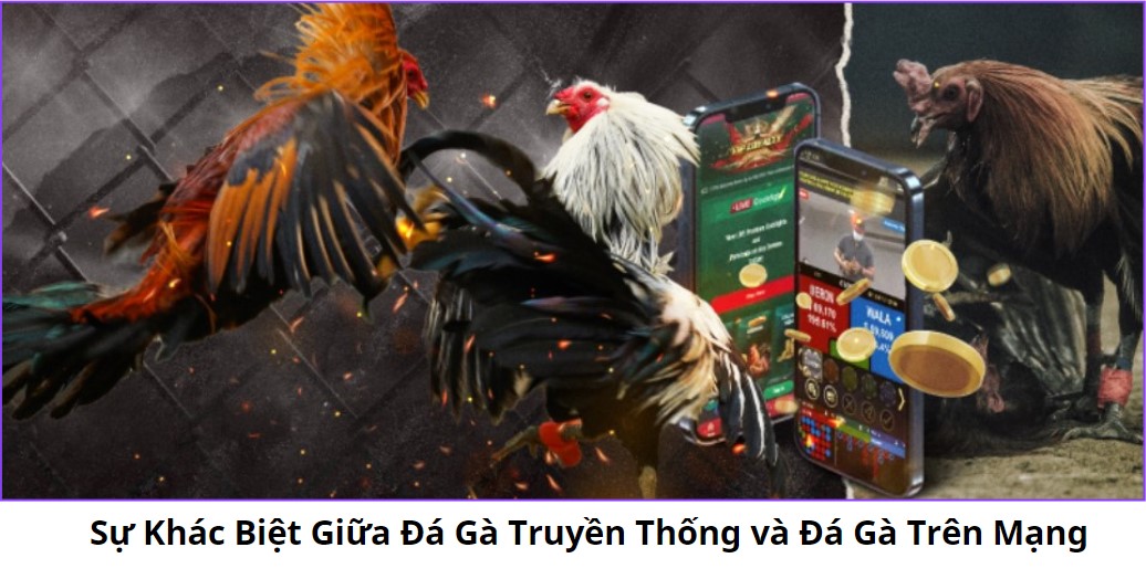 Sự Khác Biệt Giữa Đá Gà Truyền Thống và Đá Gà Trên Mạng